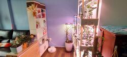 Blk 128B Canberra Street (Sembawang), HDB 2 Rooms #362981071